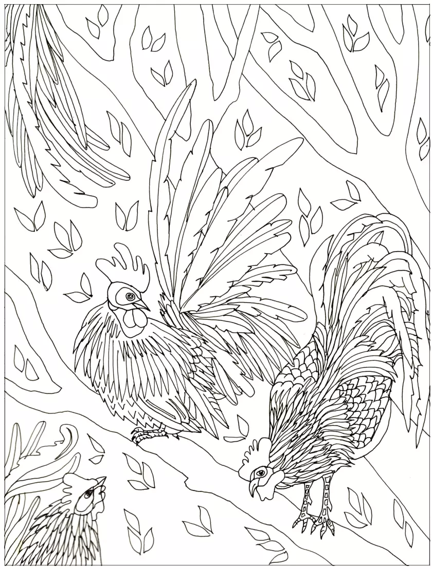 Claire Astigarraga - artiste plasticienne, sérigraphe, dessinatrice et navigatrice.