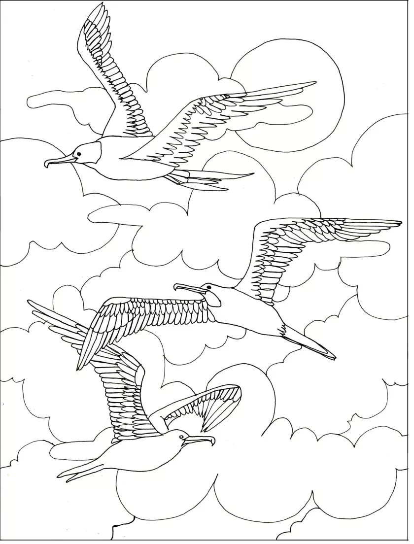 Claire Astigarraga - artiste plasticienne, sérigraphe, dessinatrice et navigatrice.