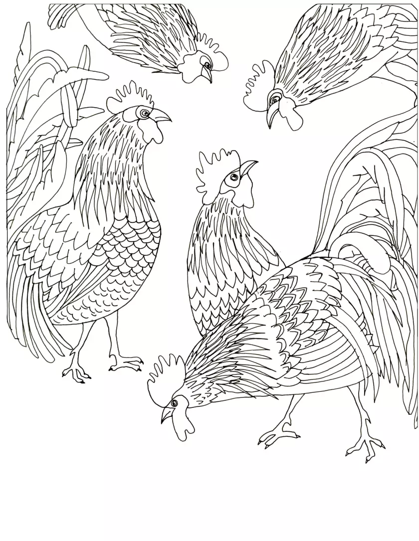 Claire Astigarraga - artiste plasticienne, sérigraphe, dessinatrice et navigatrice.