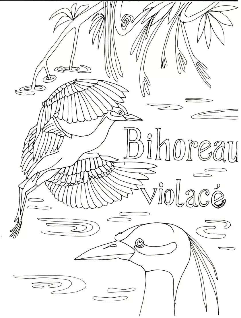 Claire Astigarraga - artiste plasticienne, sérigraphe, dessinatrice et navigatrice.