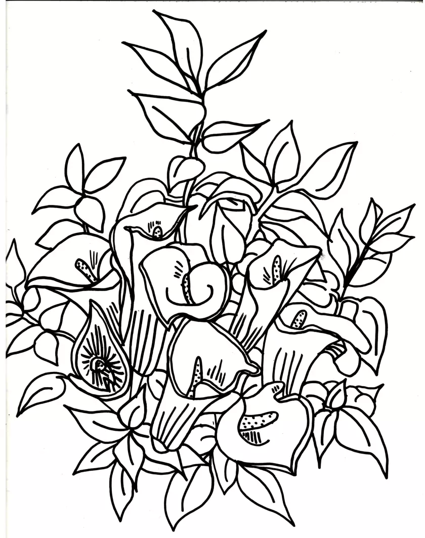 Claire Astigarraga - artiste plasticienne, sérigraphe, dessinatrice et navigatrice.