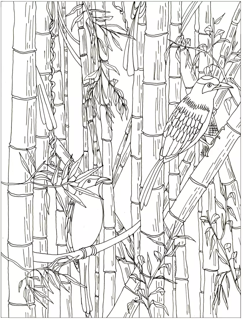 Claire Astigarraga - artiste plasticienne, sérigraphe, dessinatrice et navigatrice.