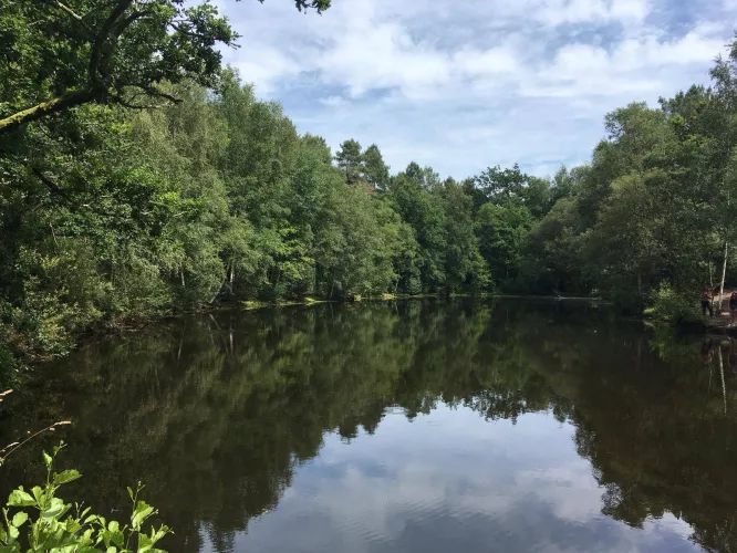 Claire Astigarraga - artiste plasticienne, sérigraphe, dessinatrice et navigatrice.