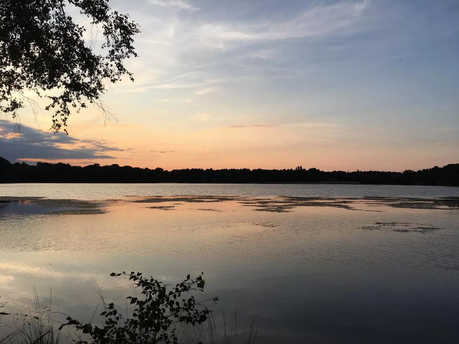 Claire Astigarraga - artiste plasticienne, sérigraphe, dessinatrice et navigatrice.