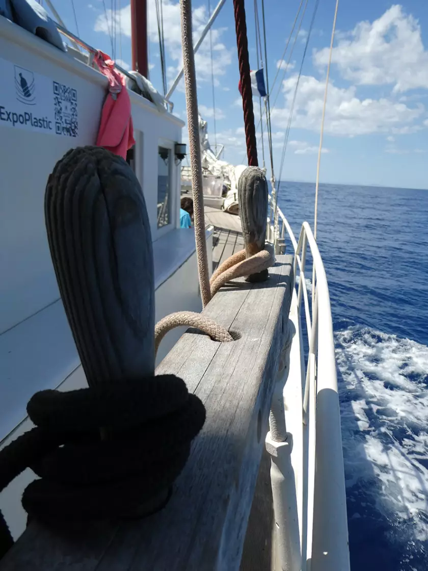 Claire Astigarraga - artiste plasticienne, sérigraphe, dessinatrice et navigatrice.