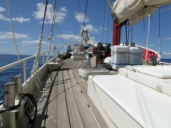 Claire Astigarraga - artiste plasticienne, sérigraphe, dessinatrice et navigatrice.