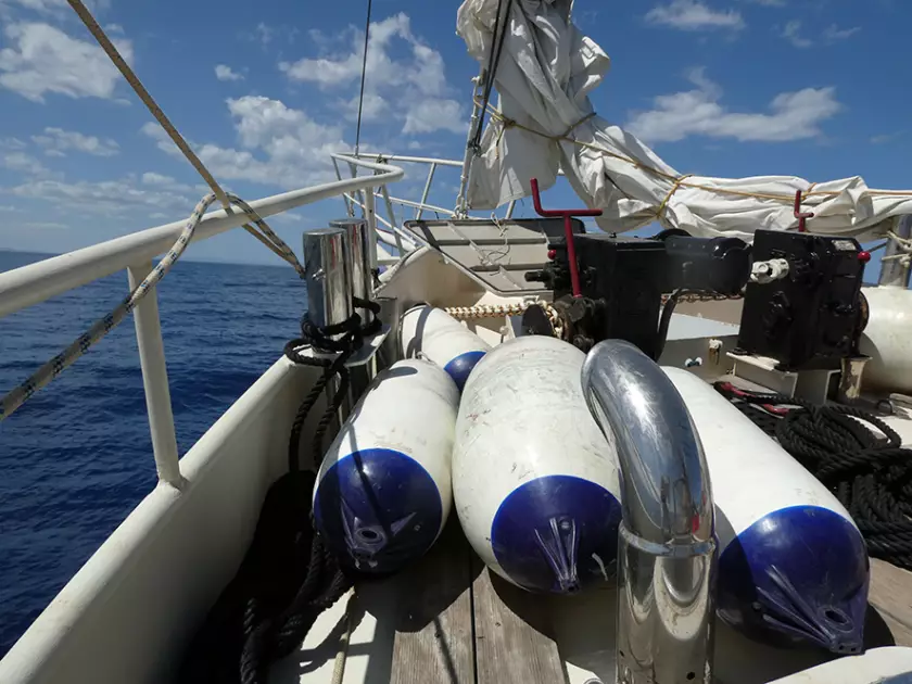 Claire Astigarraga - artiste plasticienne, sérigraphe, dessinatrice et navigatrice.