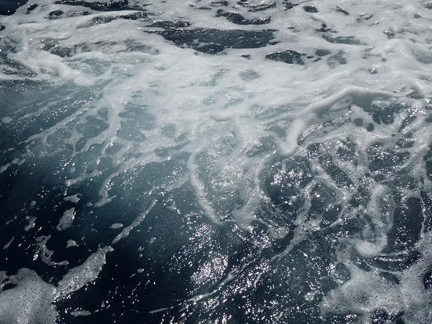 Claire Astigarraga - artiste plasticienne, sérigraphe, dessinatrice et navigatrice.