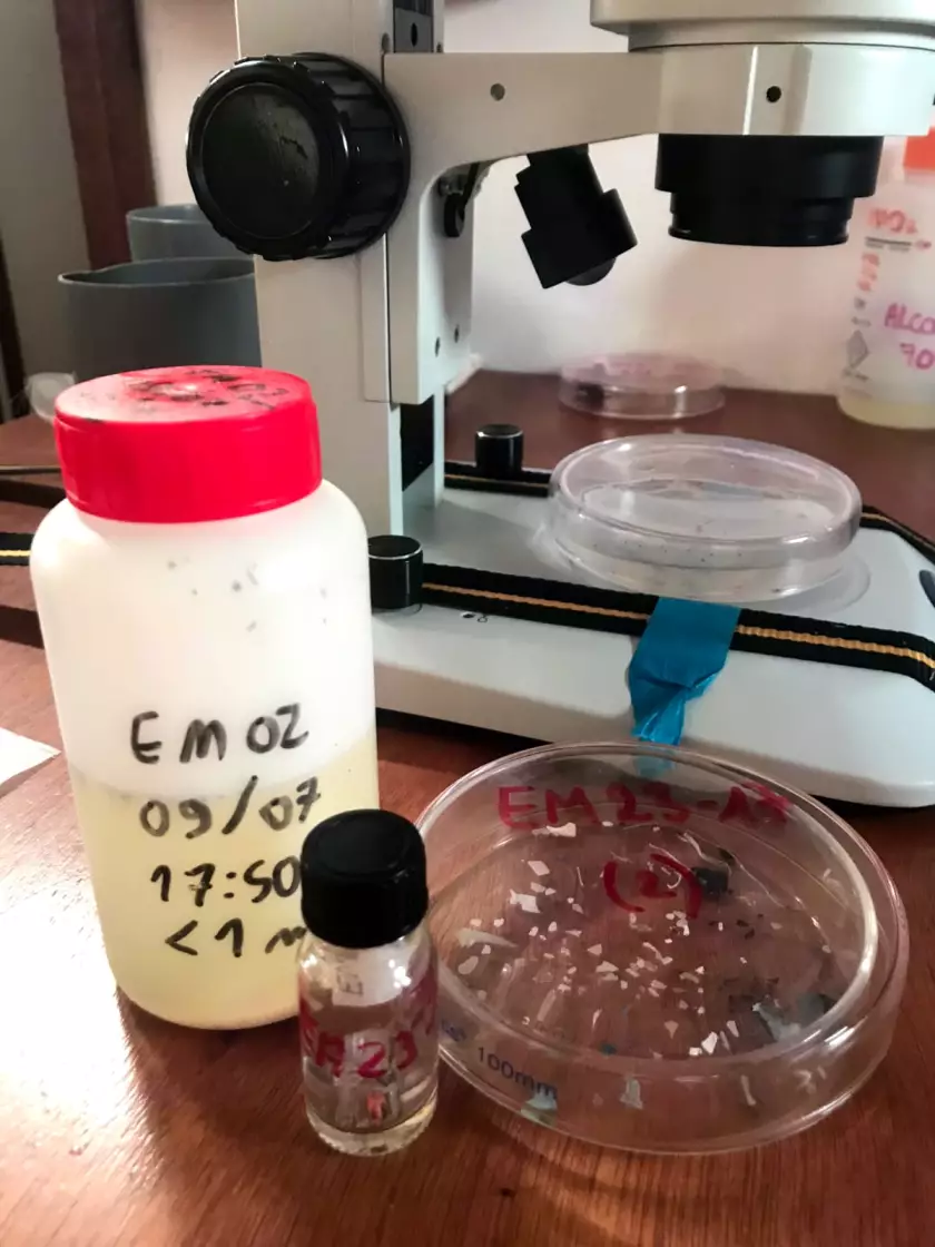 Claire Astigarraga - artiste plasticienne, sérigraphe, dessinatrice et navigatrice.