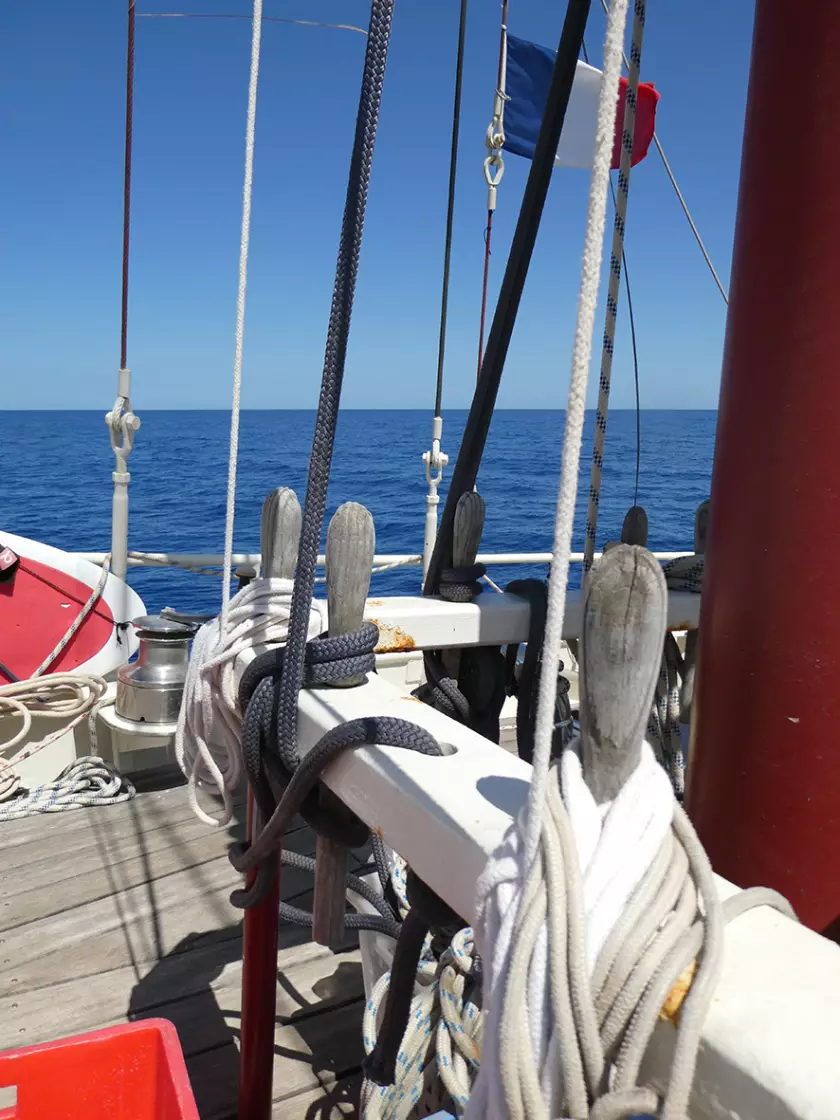 Claire Astigarraga - artiste plasticienne, sérigraphe, dessinatrice et navigatrice.