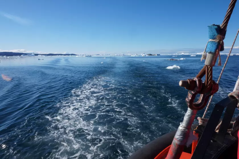 Claire Astigarraga - artiste plasticienne, sérigraphe, dessinatrice et navigatrice.