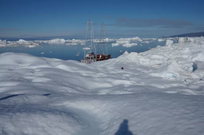 Claire Astigarraga - artiste plasticienne, sérigraphe, dessinatrice et navigatrice.