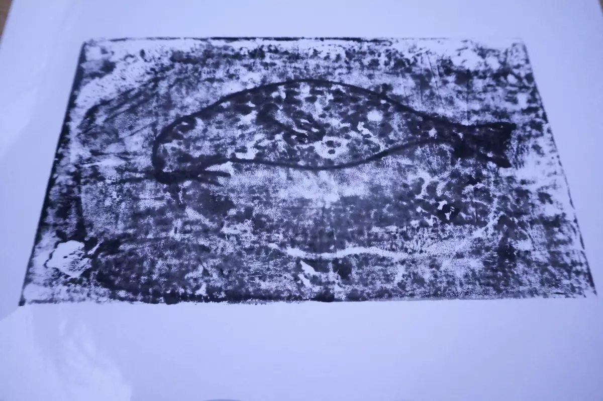 Claire Astigarraga - artiste plasticienne, sérigraphe, dessinatrice et navigatrice.