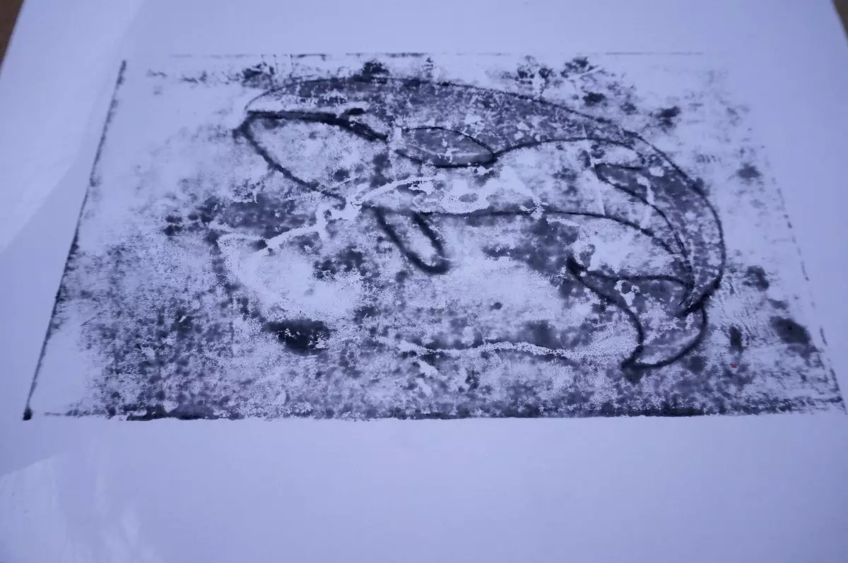 Claire Astigarraga - artiste plasticienne, sérigraphe, dessinatrice et navigatrice.