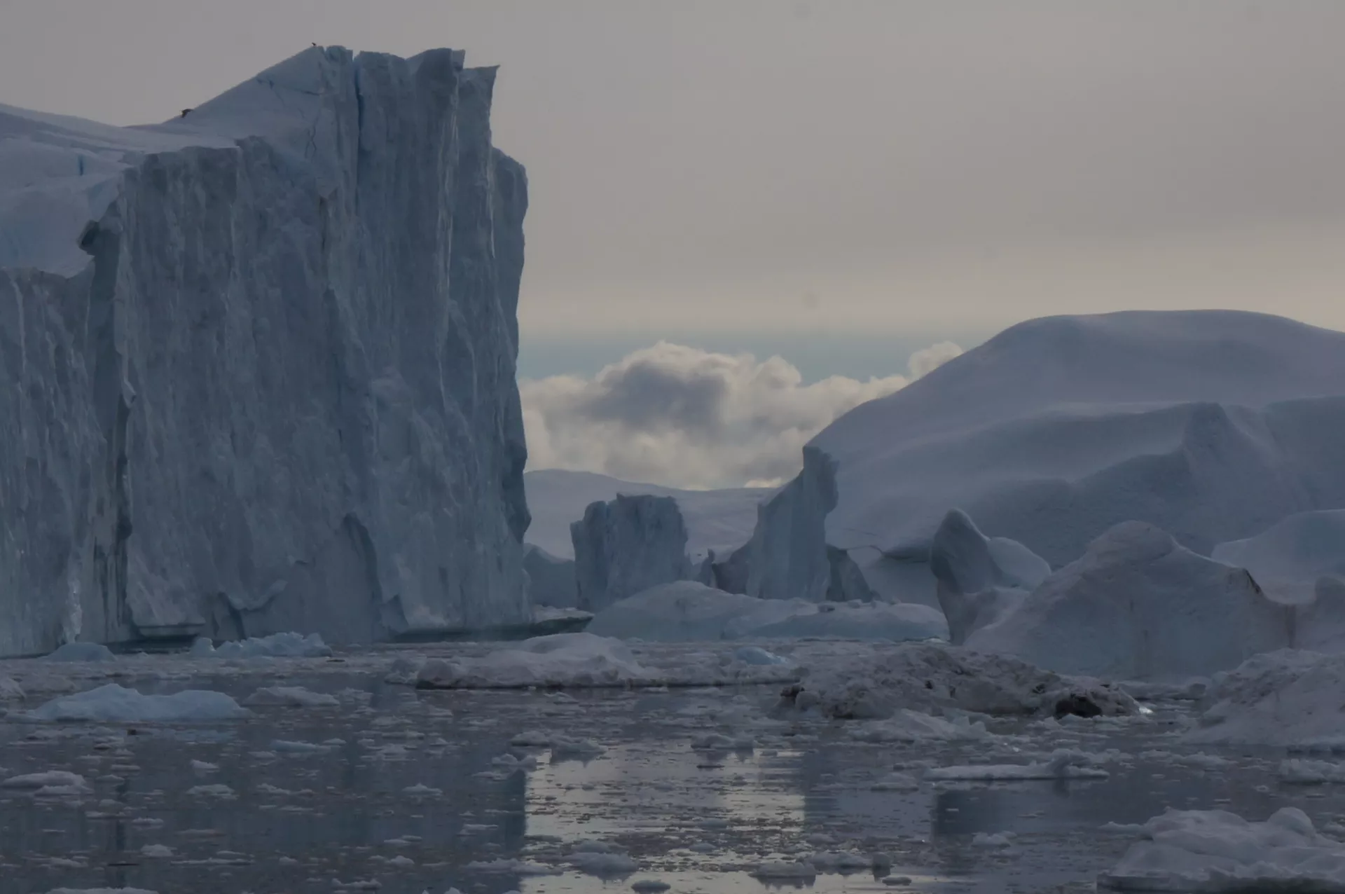 Claire Astigarraga - artiste plasticienne, sérigraphe, dessinatrice et navigatrice.