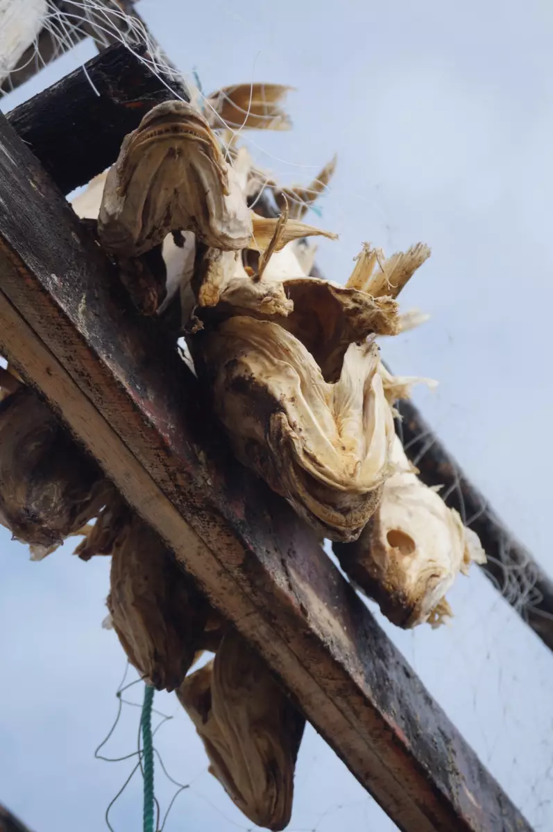 Claire Astigarraga - artiste plasticienne, sérigraphe, dessinatrice et navigatrice.