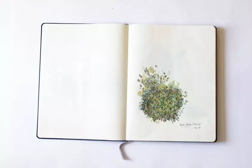 Claire Astigarraga - artiste plasticienne, sérigraphe, dessinatrice et navigatrice.