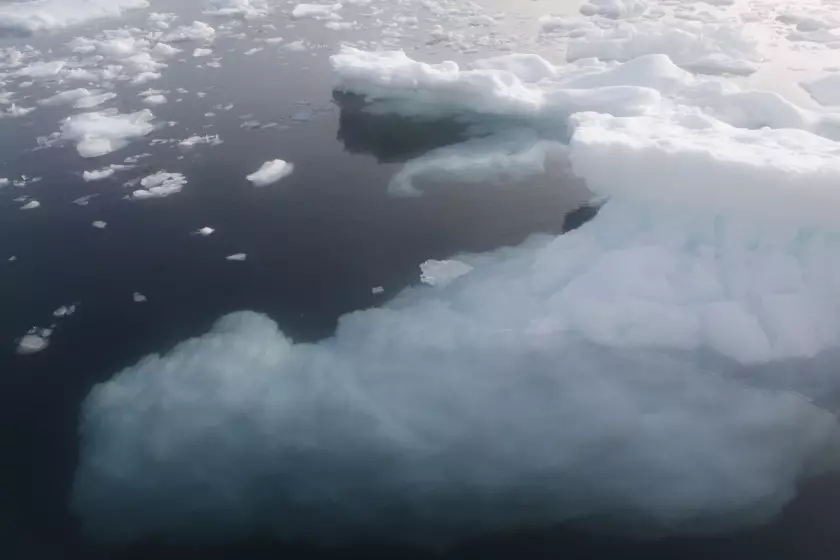 Claire Astigarraga - artiste plasticienne, sérigraphe, dessinatrice et navigatrice.