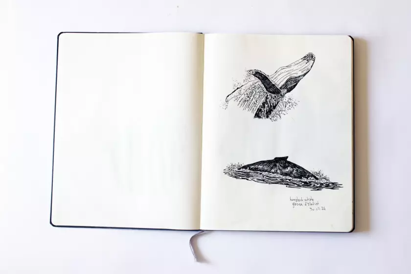 Claire Astigarraga - artiste plasticienne, sérigraphe, dessinatrice et navigatrice.