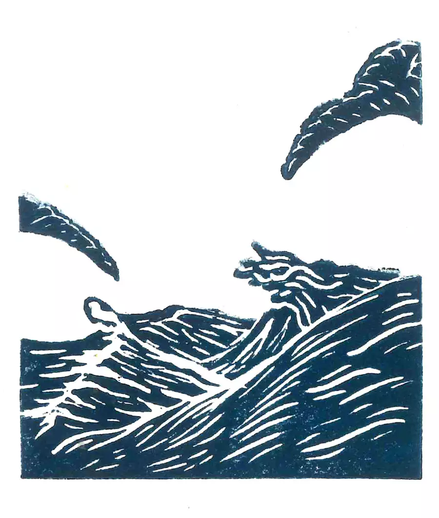 Claire Astigarraga - artiste plasticienne, sérigraphe, dessinatrice et navigatrice.