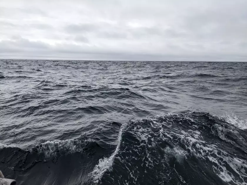 Claire Astigarraga - artiste plasticienne, sérigraphe, dessinatrice et navigatrice.