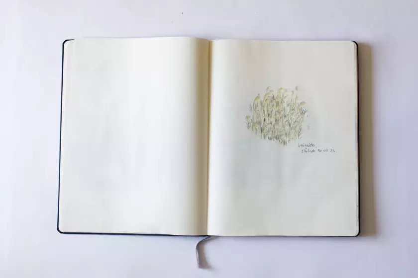 Claire Astigarraga - artiste plasticienne, sérigraphe, dessinatrice et navigatrice.