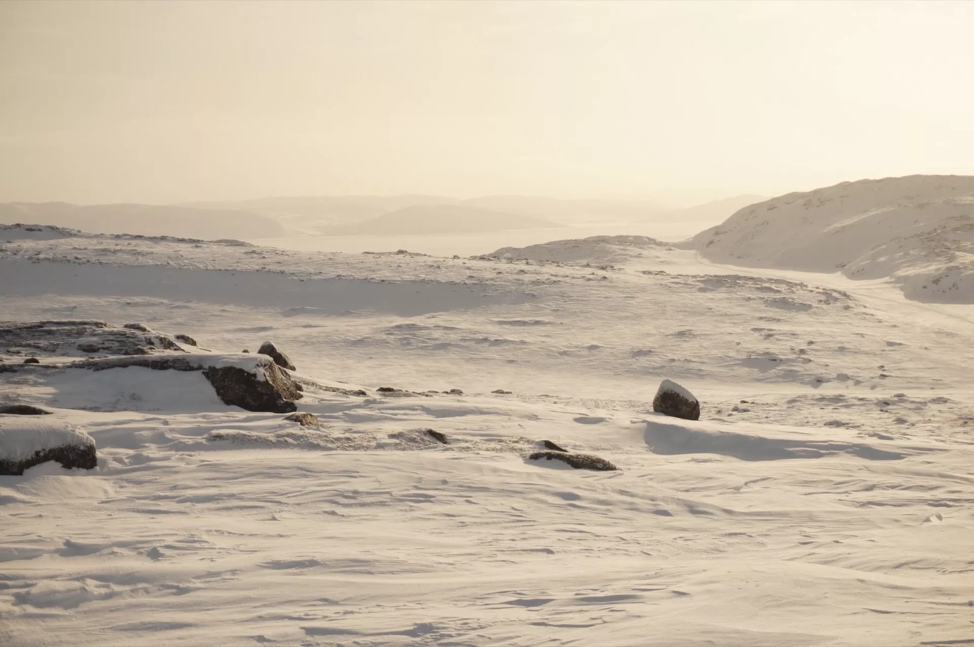 Claire Astigarraga - artiste plasticienne, sérigraphe, dessinatrice et navigatrice.