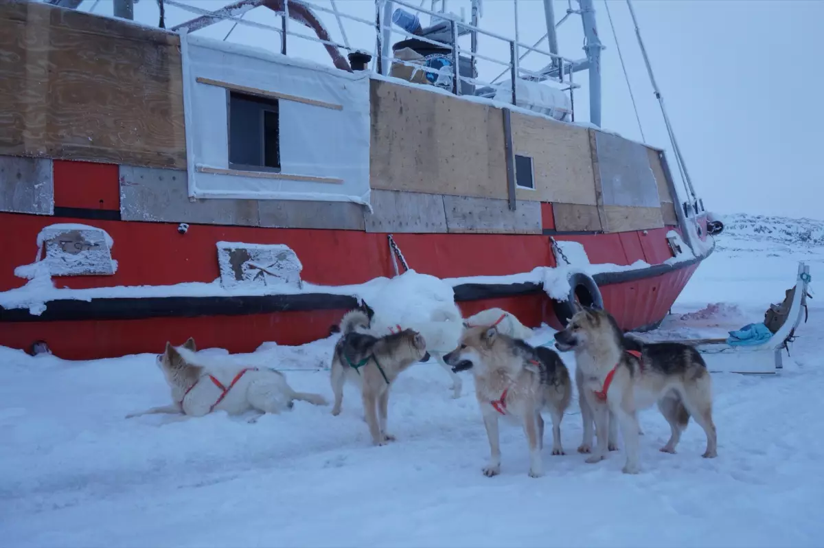 Claire Astigarraga - artiste plasticienne, sérigraphe, dessinatrice et navigatrice.