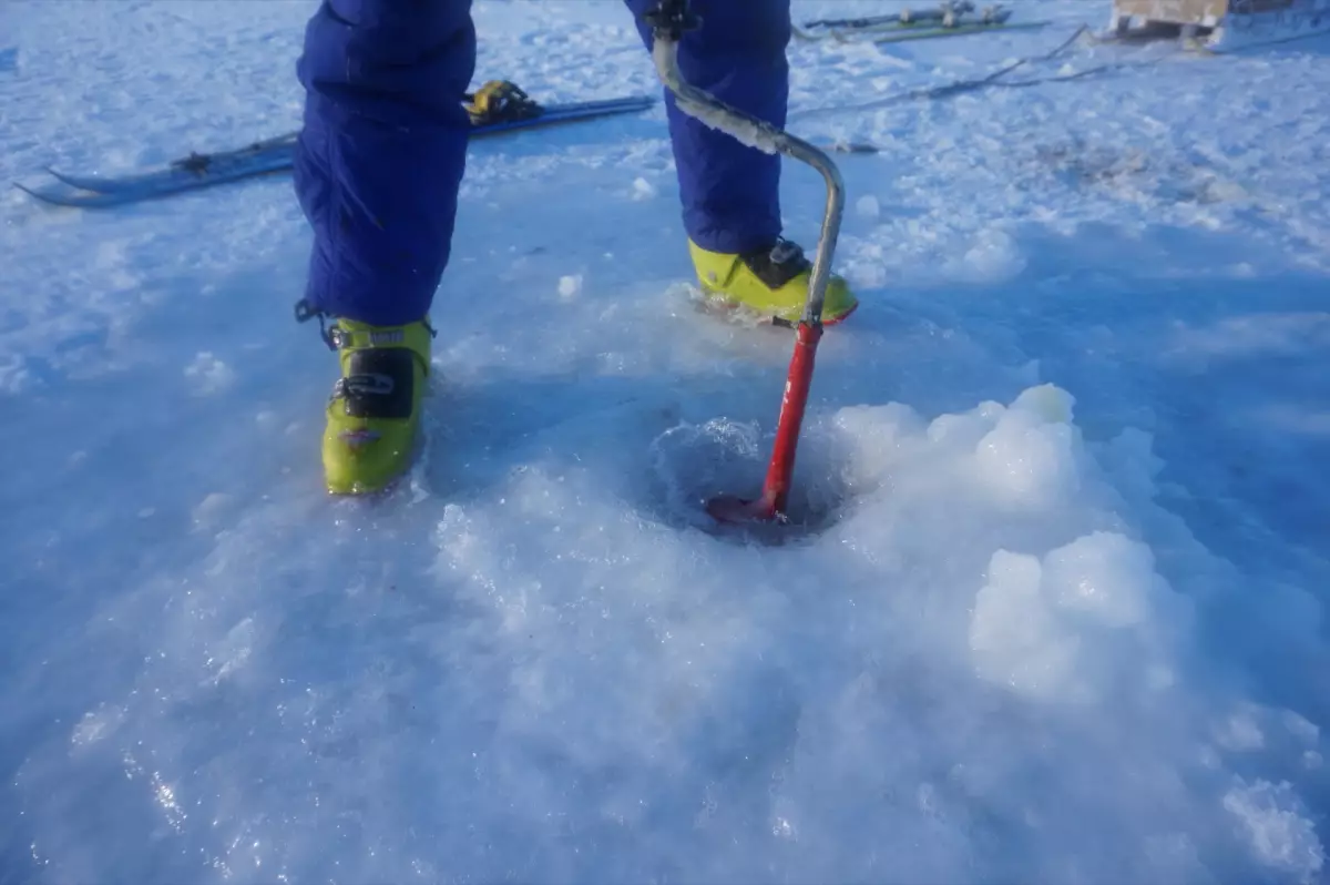 Claire Astigarraga - artiste plasticienne, sérigraphe, dessinatrice et navigatrice.